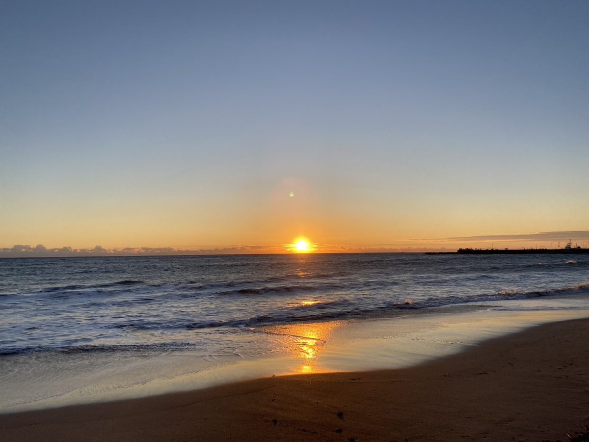 冬の海辺で楽しむ南房総の特別ステイ焚火の温もりと旬の味覚、サトウキビ収穫体験やお正月を海辺の千倉で迎える五感を満たす冬プラン。
